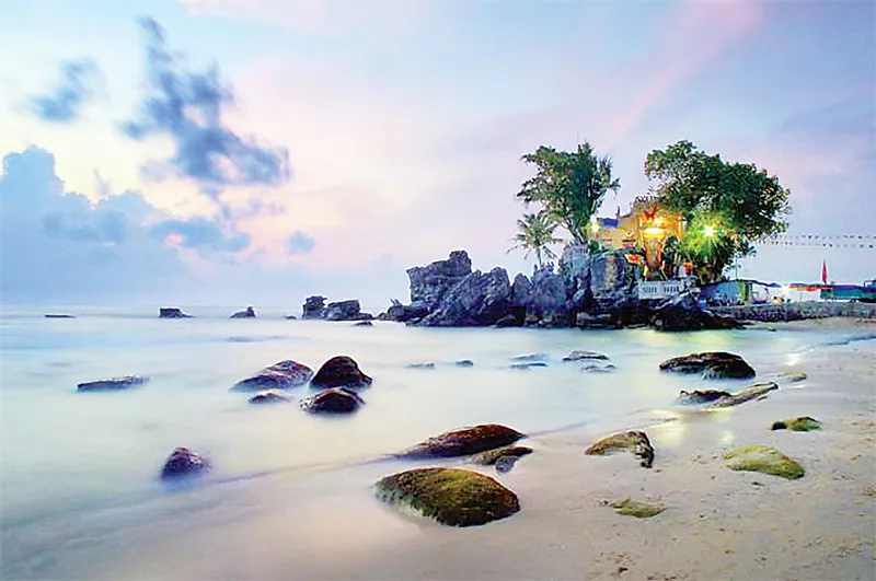 Bỏ lỡ 5 “đặc sản” hiếm có khó tìm này, coi như chưa đến Phú Quốc! ảnh 2