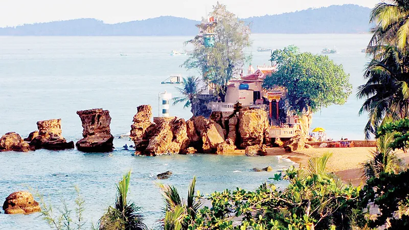 Bỏ lỡ 5 “đặc sản” hiếm có khó tìm này, coi như chưa đến Phú Quốc! ảnh 1