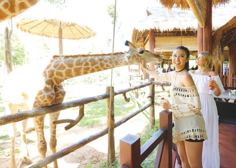 Bỏ lỡ 5 “đặc sản” hiếm có khó tìm này, coi như chưa đến Phú Quốc! ảnh 6