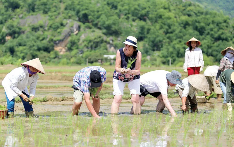 Để du lịch phát triển bền vững cần nâng cao tính chuyên nghiệp từ cơ quan quản lý, doanh nghiệp tới cộng đồng
