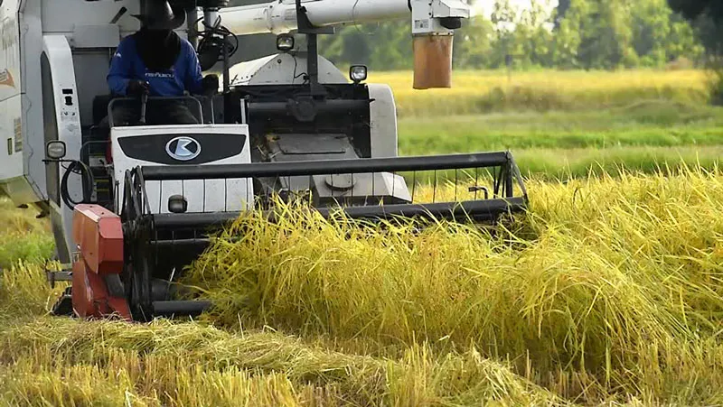 Ưu tiên nông nghiệp hiện đại ảnh 1