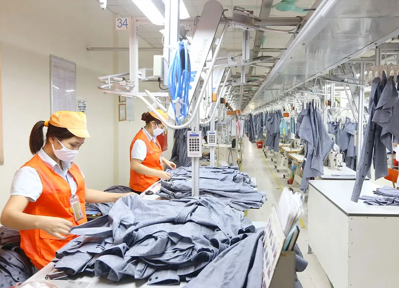 Kinh tế tư nhân - Động lực quan trọng nền kinh tế: Bài 1 - Rào cản quyền tự do kinh doanh ảnh 2