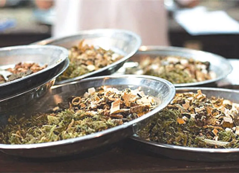 Ung thư gan ở châu Á có liên quan đến thuốc bắc