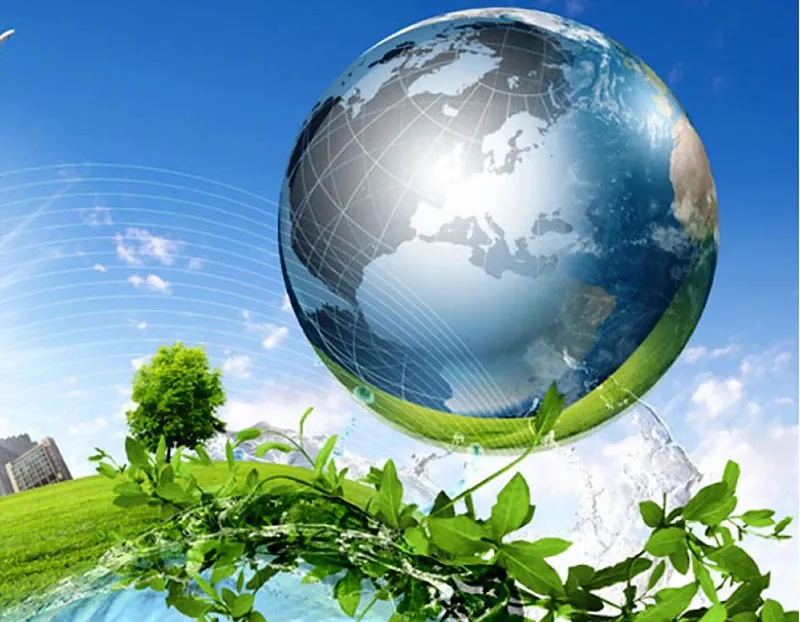 13 thành phố cam kết không sử dụng nhiên liệu dầu mỏ 