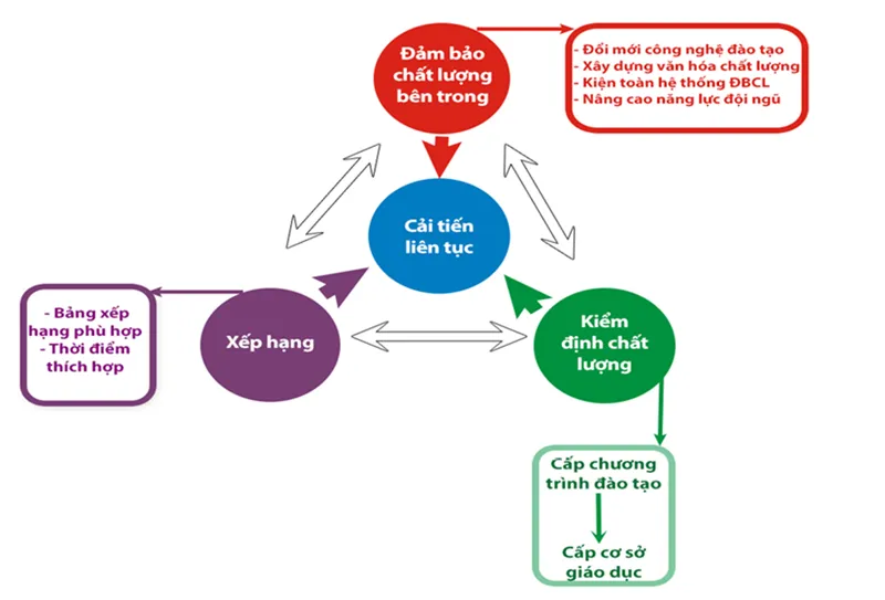 Đại học Quốc gia TPHCM: Nâng cao giá trị cốt lõi trong giảng dạy và đào tạo ảnh 1