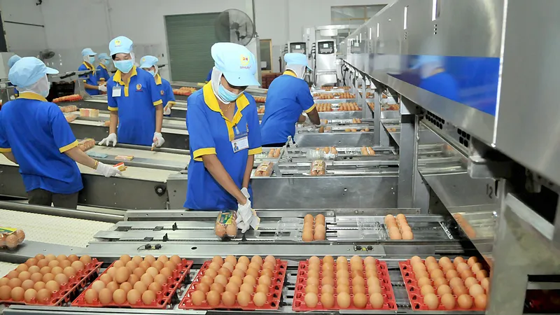 Phát triển chuỗi cung ứng bền vững ảnh 1