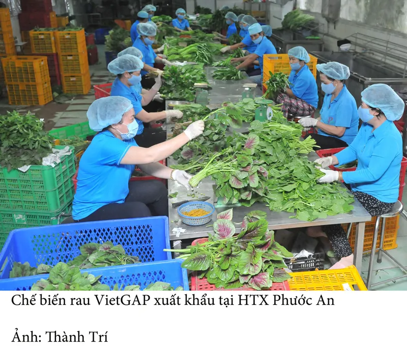 Tín hiệu tích cực từ nông sản xuất khẩu ảnh 1