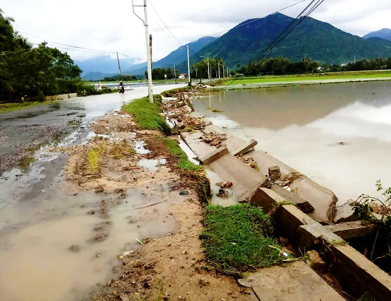 Cấp tập chống bão số 12 ảnh 1