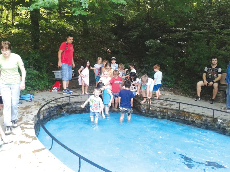 Niềm vui trẻ thơ ảnh 1