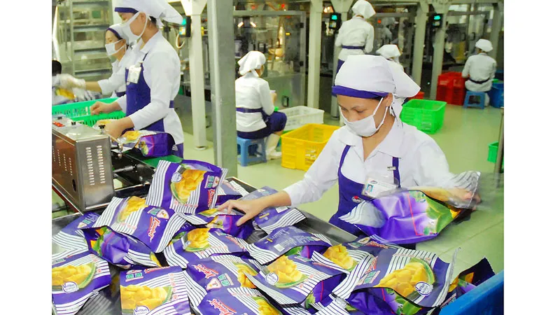 Doanh nghiệp xuất nhập khẩu vào cuộc ảnh 1