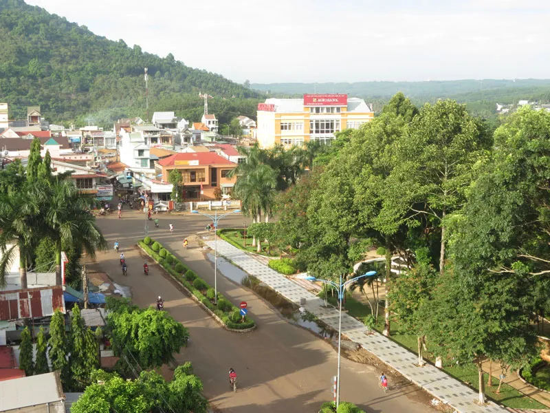 Cảm nhận Phước Long ảnh 1