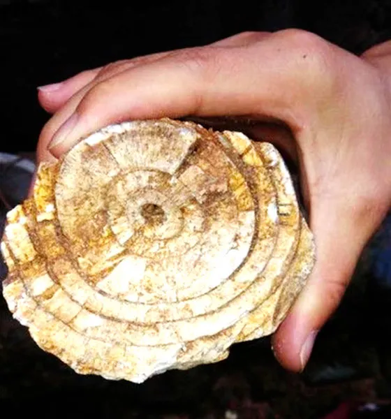 Phát hiện cổ vật 10.000 năm tuổi