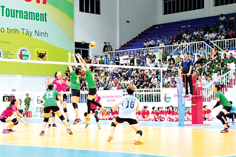 Chưa thể lên chuyên nghiệp ảnh 1