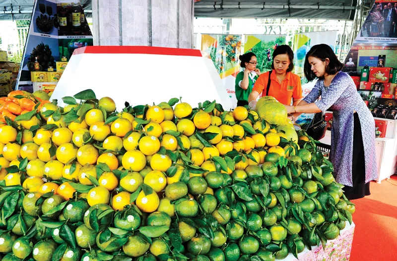 Nhiều đặc sản vùng miền ảnh 1