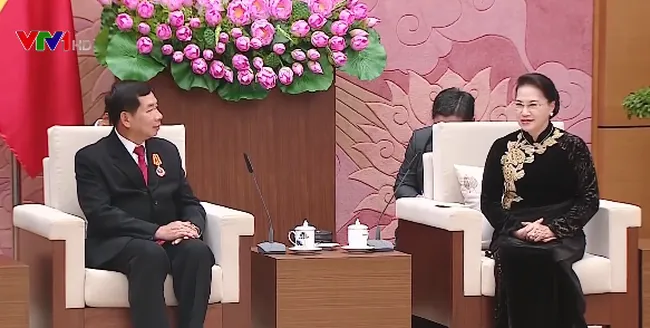 Chủ tịch nước Trần Đại Quang tiếp Chánh án Tòa án nhân dân tối cao Lào ảnh 2