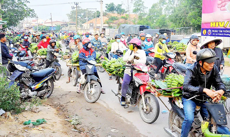 Chuối rừng xuống phố ảnh 1