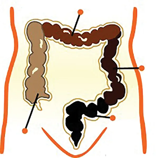 Táo bón, hôi miệng, đầy hơi nhanh chóng biến mất ảnh 1