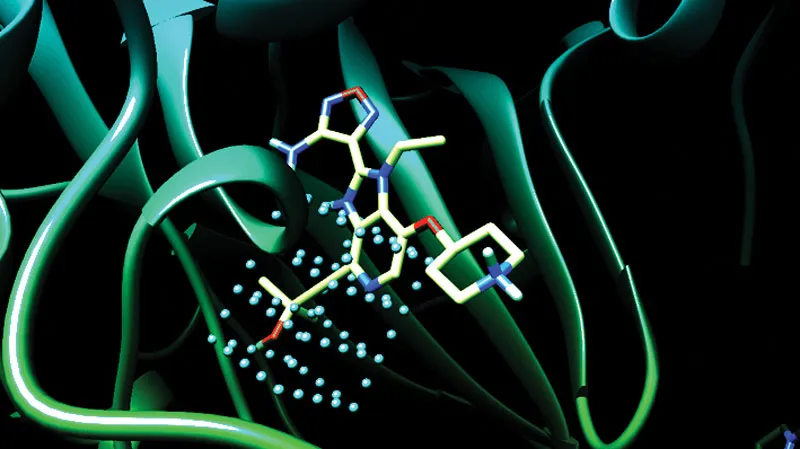 AI dự đoán sự tương tác giữa các loại thuốc