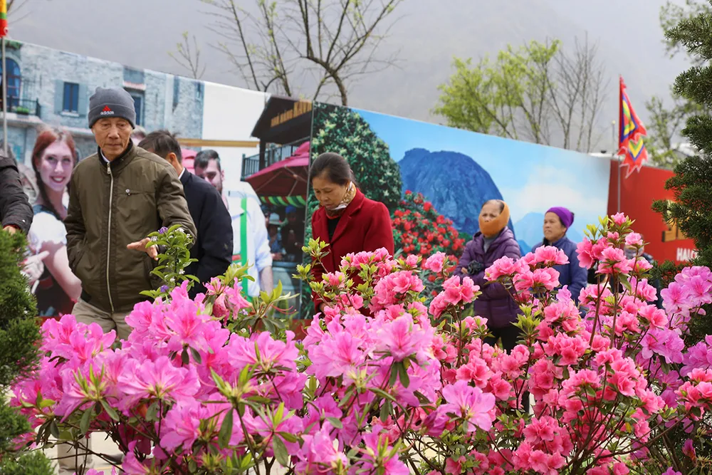 Chỉ còn 20 ngày khám phá Fansipan với 200 nghìn đồng ảnh 5