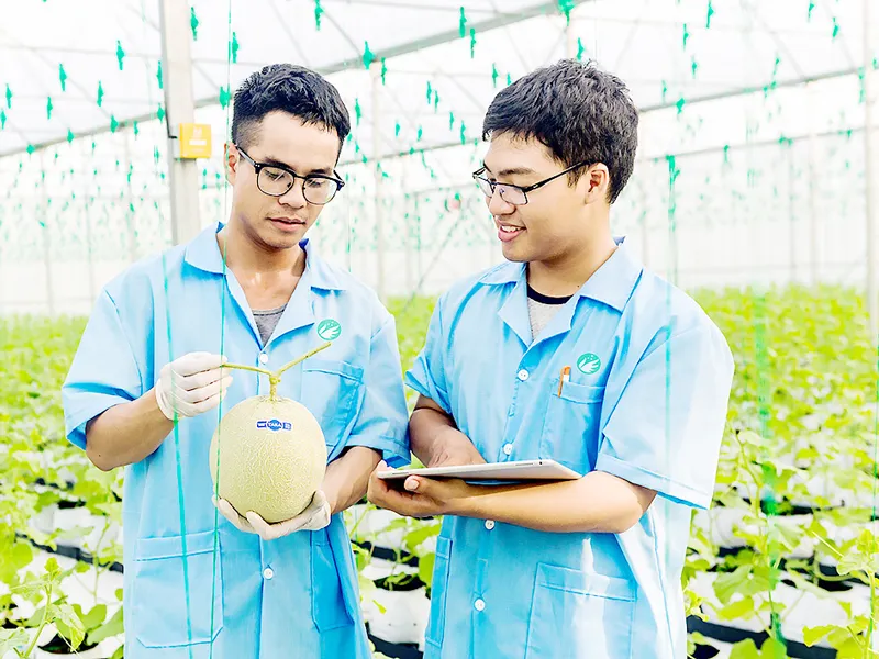 Ứng dụng công nghệ vào sản xuất nông nghiệp ảnh 1