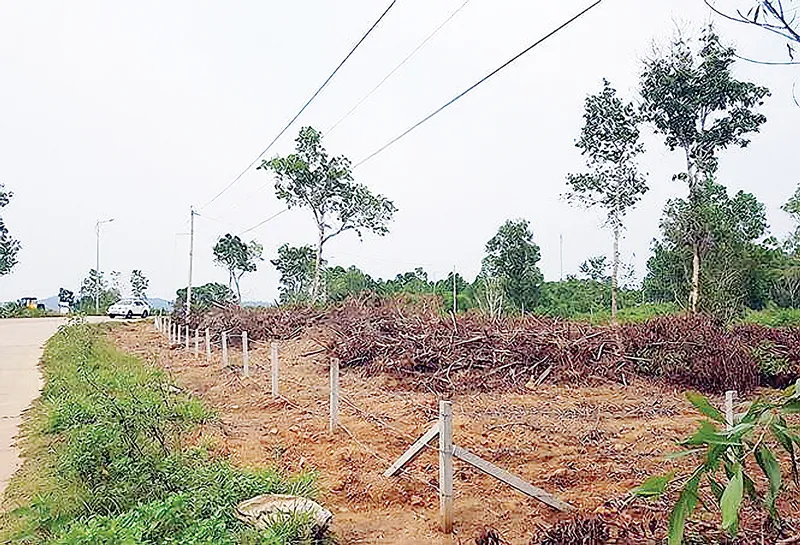 Sốt đất ở các đặc khu:  “Hòn lửa” cháy túi người mua cuối ảnh 1