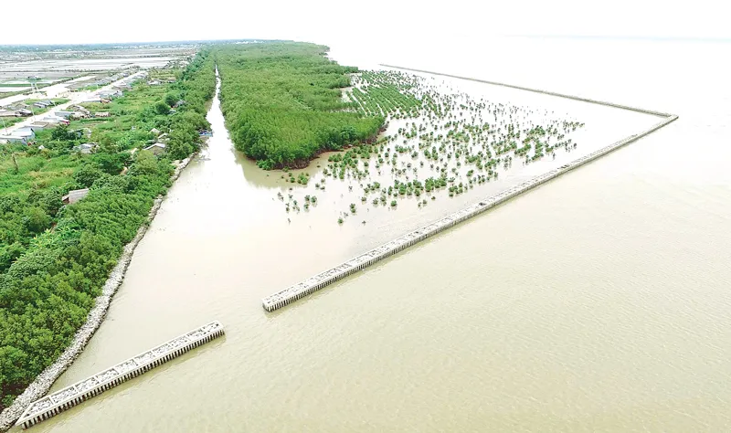 Thách thức từ sống chung với sạt lở ở ĐBSCL ảnh 1