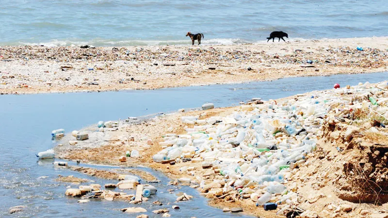 Nguy cơ ô nhiễm rác thải nhựa ở biển Địa Trung Hải 