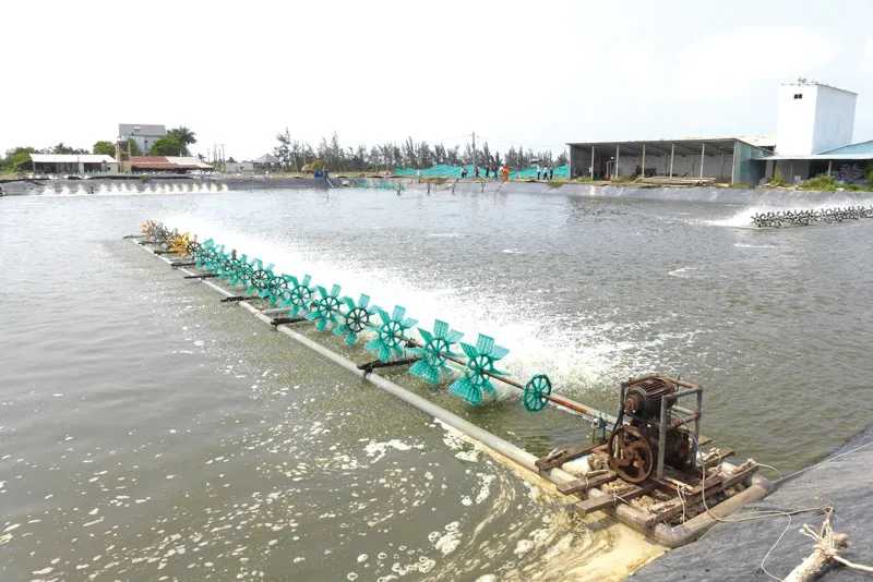 EVN SPC đạt giải nhất cuộc thi “Sáng kiến vì cộng đồng” ảnh 1