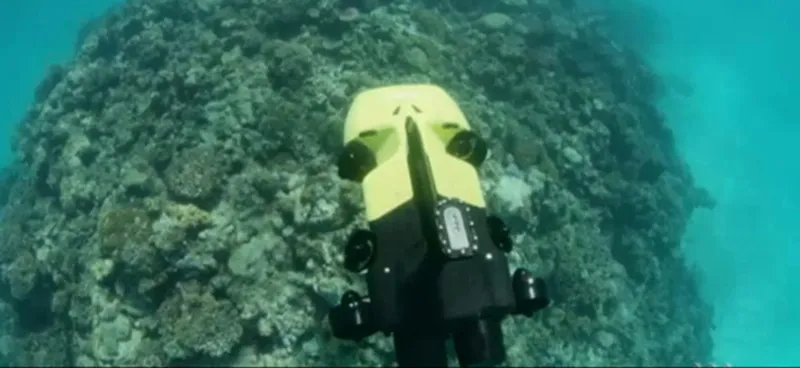 Australia sử dụng robot bảo vệ rạn san hô