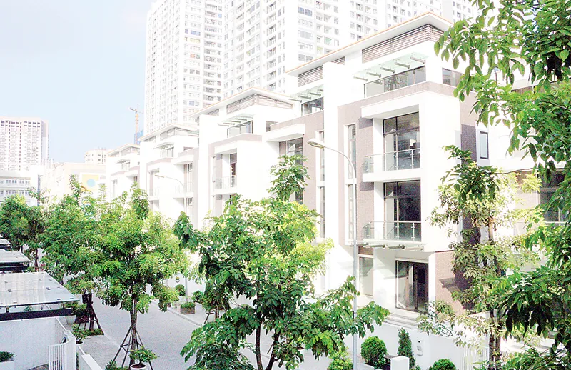 Mãn nhãn với không gian sống xanh  tại “khu phố nhà giàu” ở Hà Nội ảnh 3