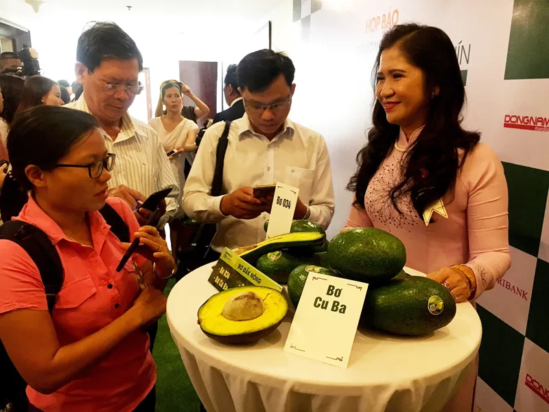 Tỉnh Đắk Nông xúc tiến quảng bá hình ảnh trái bơ  đến thị trường trong và ngoài nước