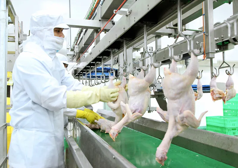 Tất bật sản xuất phục vụ Tết Kỷ Hợi ảnh 1