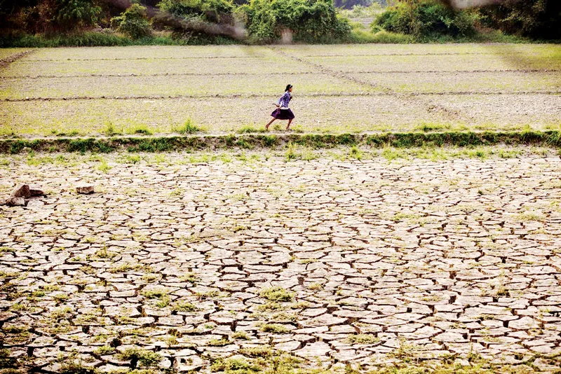 Các thế hệ tương lai bị ảnh hưởng bởi ô nhiễm đất