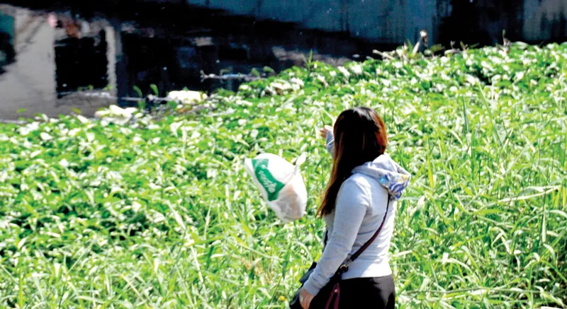 Vứt rác xuống kênh, rạch sẽ gây tắc nghẽn dòng chảy                                                         Ảnh: THÀNH TRÍ