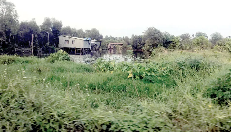 Một thửa đất nông nghiệp tại quận 9. TPHCM        ẢNH:   HUY ANH