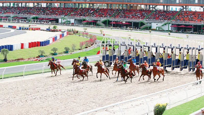 Công ty Cổ phần Đại Nam hướng về cộng đồng ảnh 2