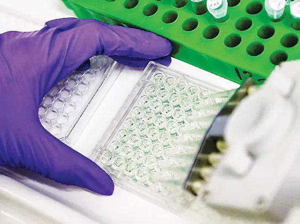 Sản xuất protein bằng… điện