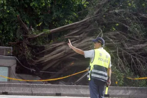 Trung Quốc: Hơn 3.000 người sơ tán vì bão Nesat ảnh 1