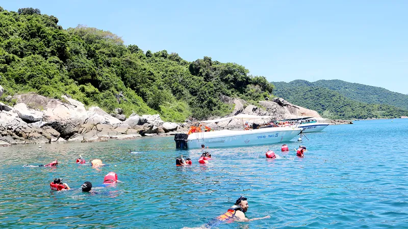 Du khách bơi lặn ngắm san hô ở Cù Lao Chàm