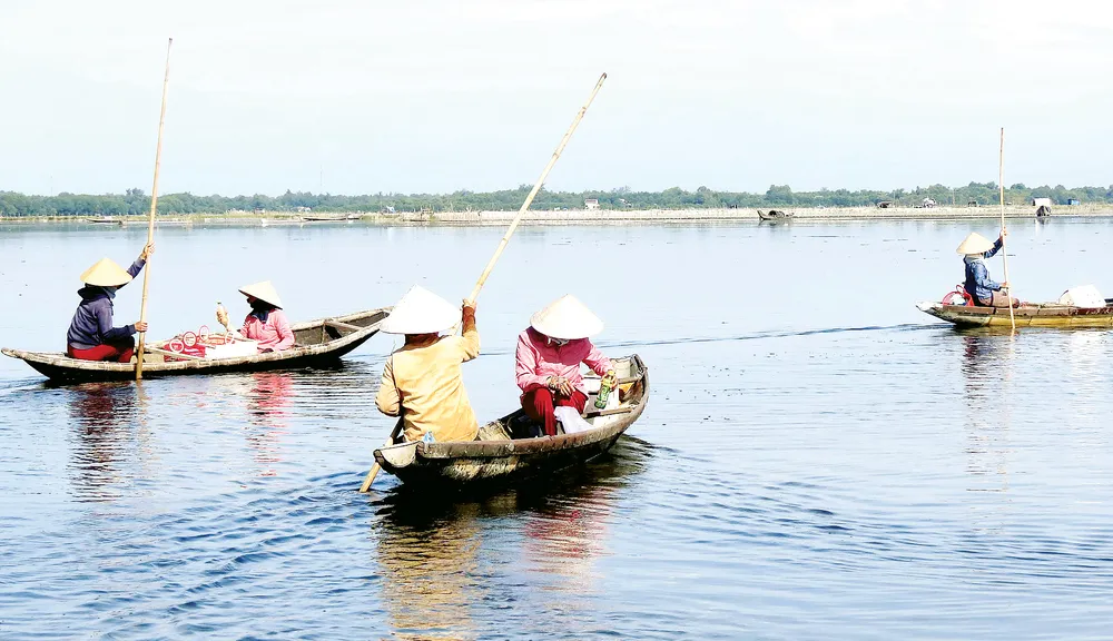 Mưu sinh giữa biển cạn ảnh 3