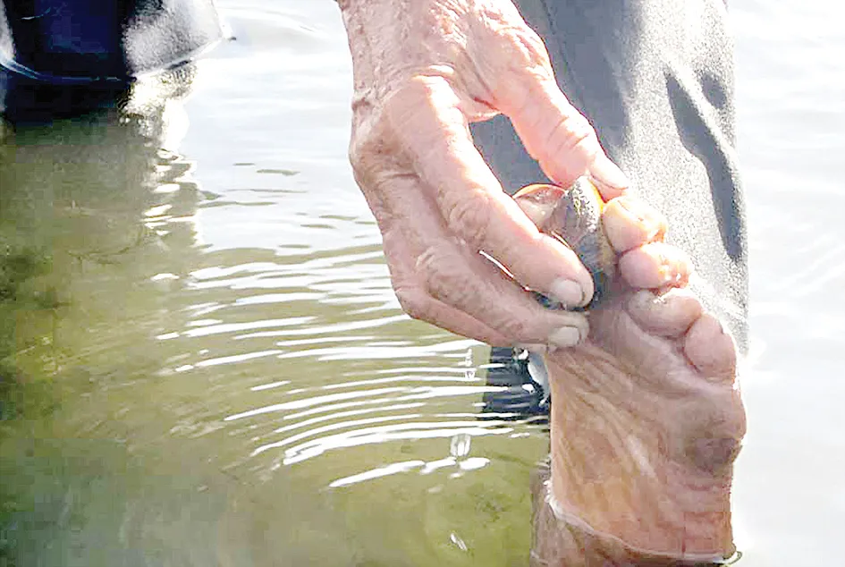 Mưu sinh giữa biển cạn ảnh 5