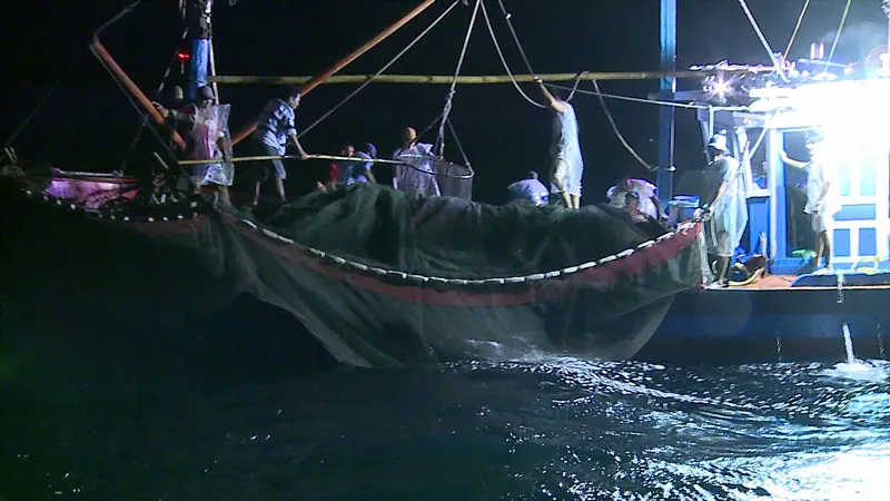 Vươn khơi bám biển. Bài 3: Để ngư dân vững vàng bám biển ảnh 1