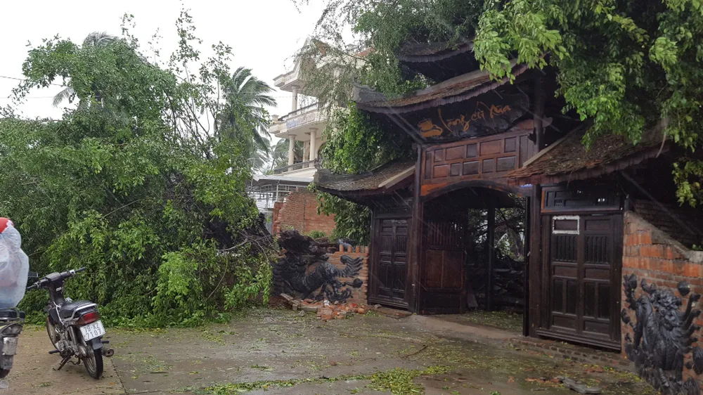 Quy Nhơn, Nha Trang tan hoang sau bão số 12 ảnh 4