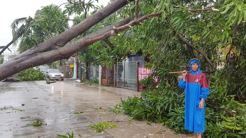 Quy Nhơn, Nha Trang tan hoang sau bão số 12 ảnh 1
