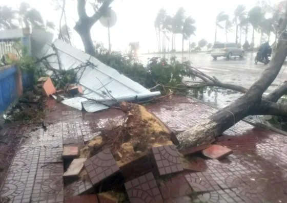 Quy Nhơn, Nha Trang tan hoang sau bão số 12 ảnh 8