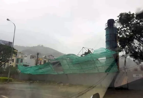 Quy Nhơn, Nha Trang tan hoang sau bão số 12 ảnh 10