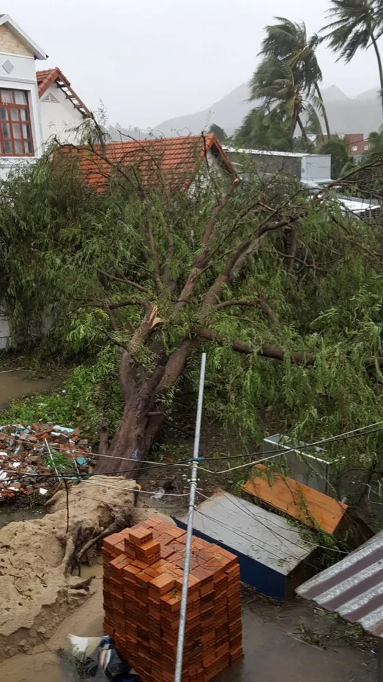 Quy Nhơn, Nha Trang tan hoang sau bão số 12 ảnh 5