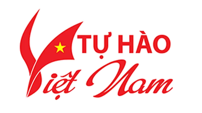 Thí sinh Hà Việt Hoàng giành giải nhất cuộc thi Tự hào Việt Nam 2017 ảnh 1