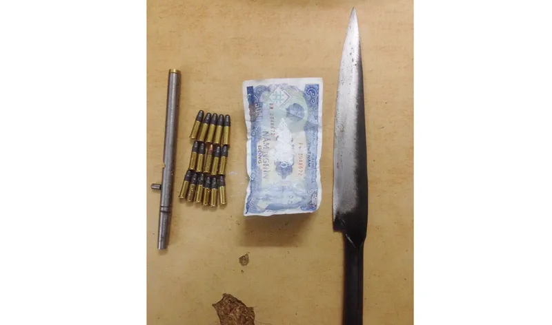 Bắt quả tang 2 thiếu niên mang súng khi "đi dạo" ảnh 1