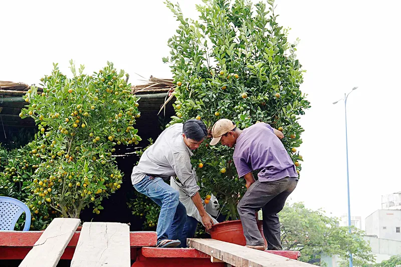 Xuân về trên những thuyền hoa ảnh 1